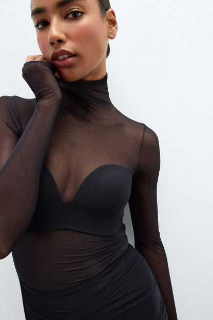 Long Sleeved Black Mesh Dress