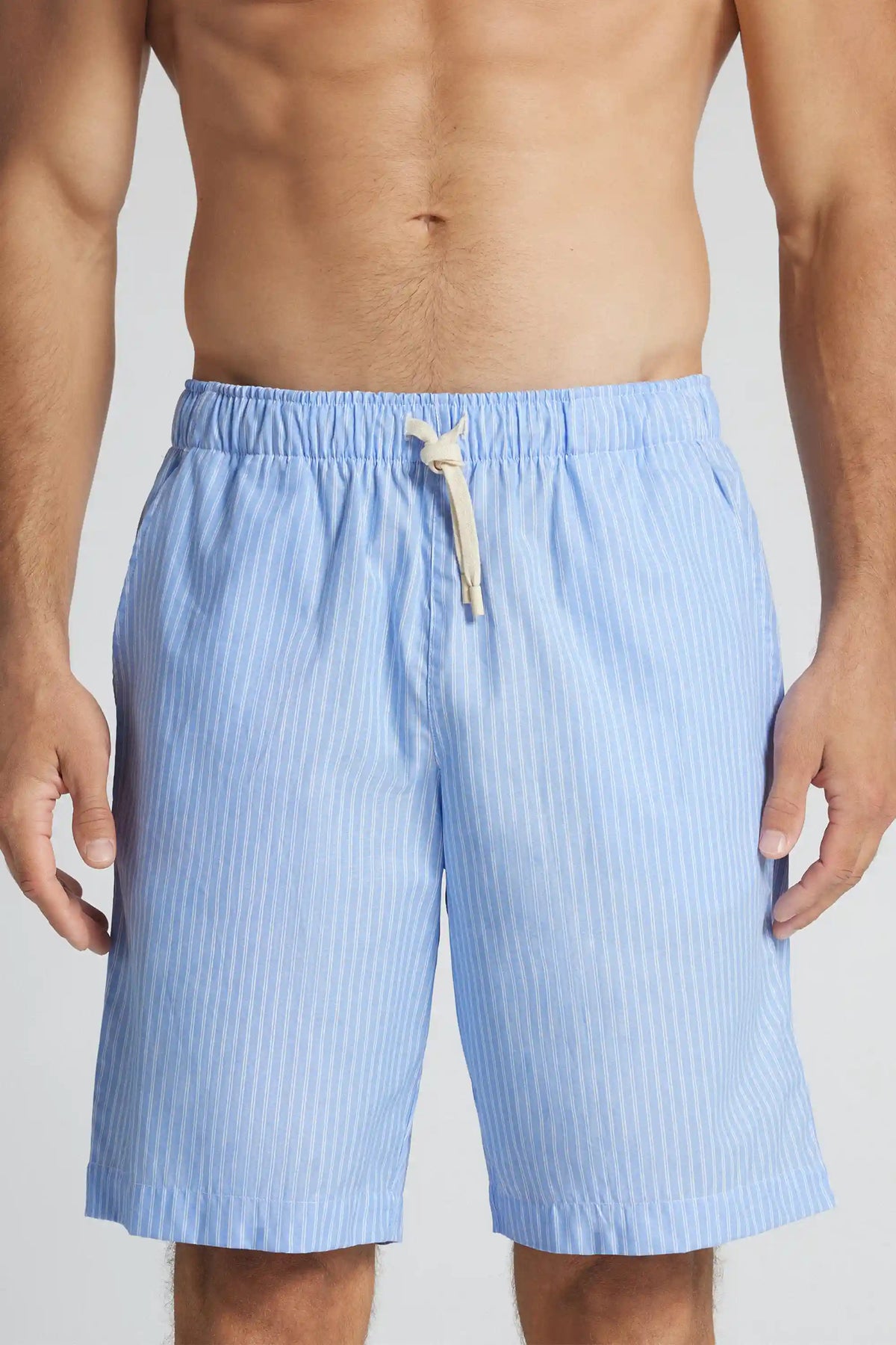 Pinstripe Print Cloth Shorts