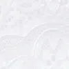 Microfiber Lace Brazilian