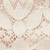 Microfiber Lace Brazilian