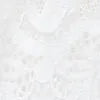 Lace Brazilian