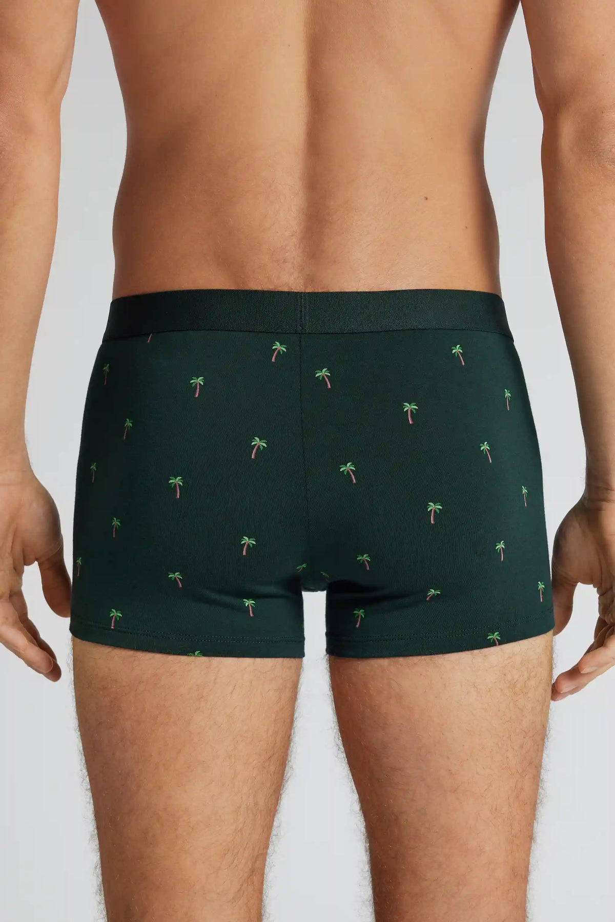 Palm Tree Print Superior Cotton Boxers