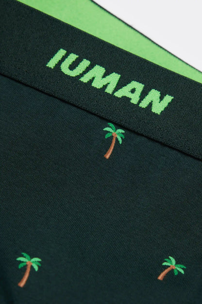Palm Tree Print Superior Cotton Boxers