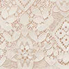 Lace Hipster